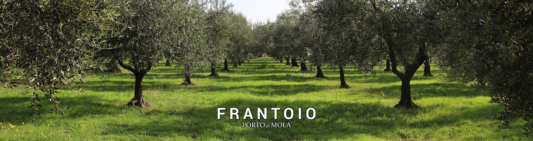 Frantoio Porto di Mola: Organic Extra Virgin Olive Oil