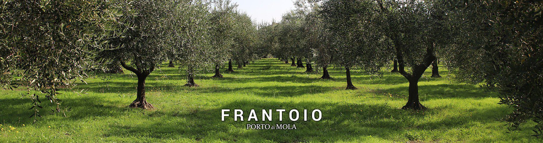 Frantoio Porto di Mola: Olio Extravergine di Oliva Biologico